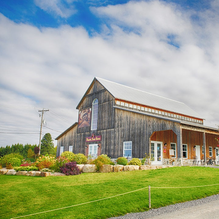 5 ACTIVITÉS ACCESSIBLES EN ZONE ORANGE DANS LANAUDIÈRE